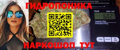 скорость Аша