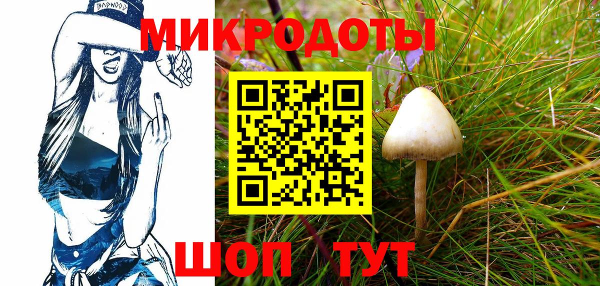 где можно купить наркотик  Галлюциногенные грибы Psilocybe  Новотроицк  Вход с VPN  Галлюциногенные грибы MAGIC MUSHROOMS 